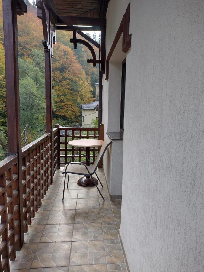 Pensiunea Steinhaus 斯兰默多瓦 外观 照片