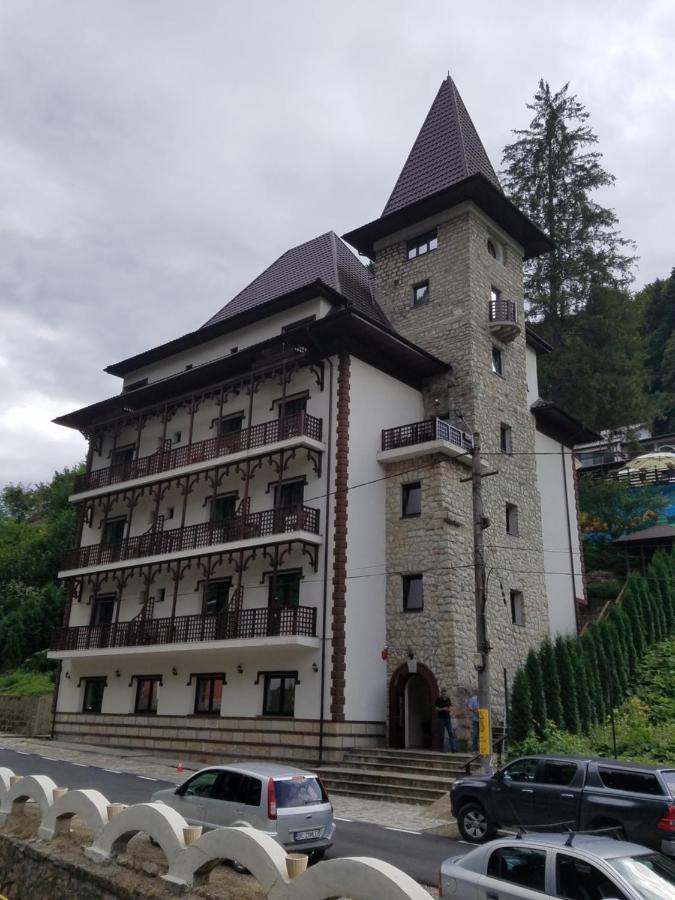 Pensiunea Steinhaus 斯兰默多瓦 外观 照片